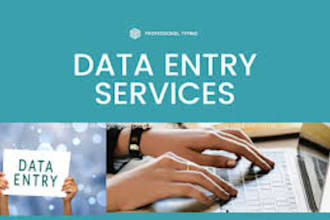 provide fast and reliable data entry service