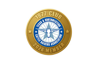 design unique club lapel pin logo