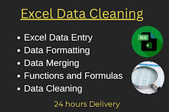 clean, format, and analyze data with python and excel