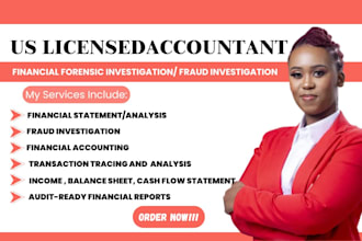 do financial modeling, forensic accounting, financial statement, audit report
