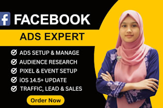 manage shopify facebook ads campaigns, instagram ads, and fb pixel