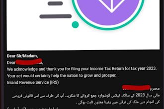 file your professional fbr income and sales tax returns