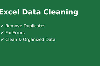 clean, format, and organize your excel or CSV data professionally