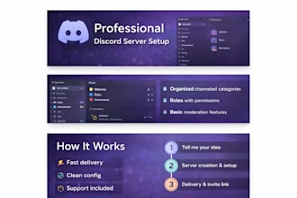 set up a professional discord server