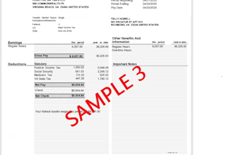 do create a professional pay stubs for you