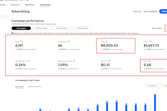 do ebay amazon PPC campaign management VA increase sale