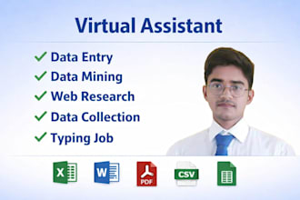 do accurate data entry, web research ,data mining