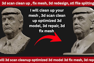 do stl file repair, 3d scan clean up, mesh repair,stl edit for 3d printing