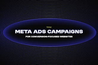meta ads setup and optimization for conversion focused websites