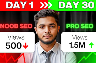 do youtube video SEO for top ranking and organic views