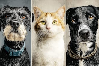do custom pet portrait, dog portrait, cat portrait