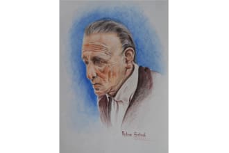 do photo realistic colour pencil sketch