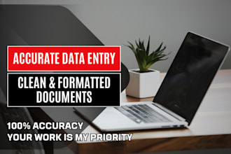 do accurate data entry, formatting, and document cleanup