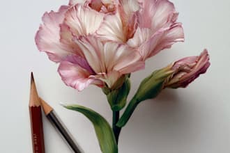 draw a botanical illustration