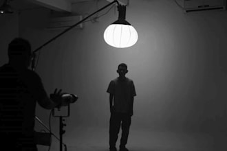 write a professional screenplay or cinematic story