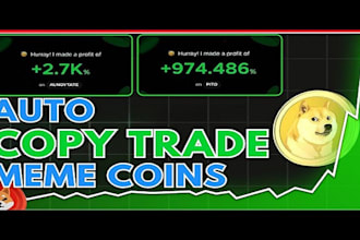 build solana arbitrage bot, crypto arbitrage bot, volume bot, memecoin bot