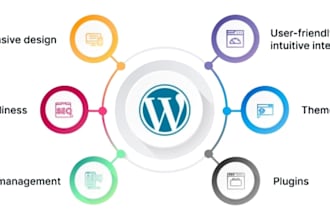 do wordpress development, plugin dev, theme customization, API
