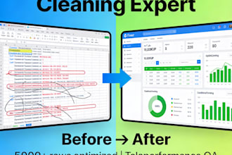 optimize and clean your excel data professionally