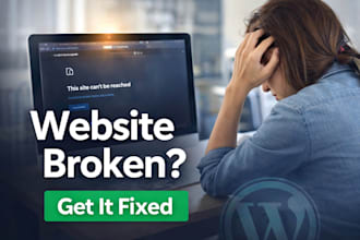 fix wordpress bugs, plugin conflicts, php errors, and database issues