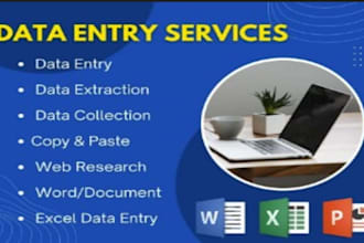 do web research and data entry work