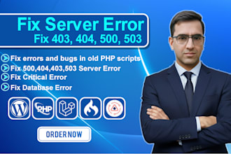 fix 403, 404, 500, 503 server errors , critical website issues fast