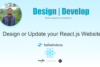 design or fix your reactjs website professionally
