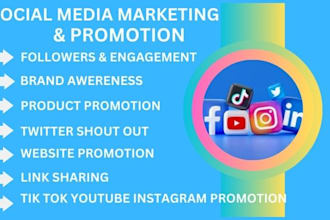 be your social media marketing manager for instagram, facebook, tiktok, linkedin