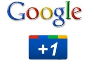 supply you 15 google + 1 votes for your website to rockup your SEO