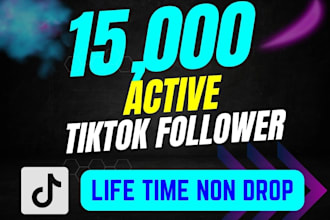 get you 20,000 tiktok followers high quality service