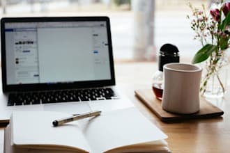 virtual assistant data entry