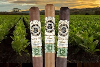 do creative premium cigar band, cigar label, cigar logo and cigar box design