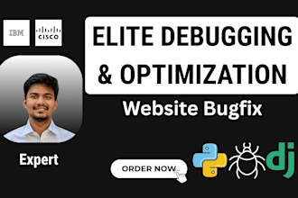 fix django bugs and optimize performance of your web app fast