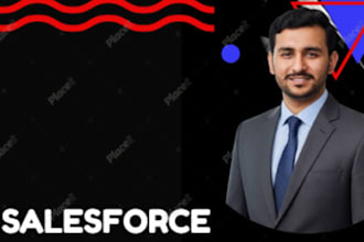 salesforce admin setup or developer
