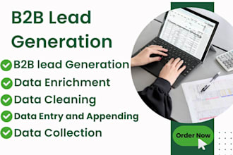 do accurate data enrichment, lead generation and data collection, data appending