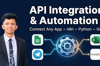 develop custom api integrations and business automation
