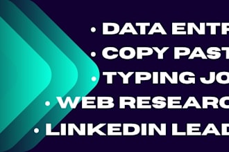do excel data entry, web research and copy paste work