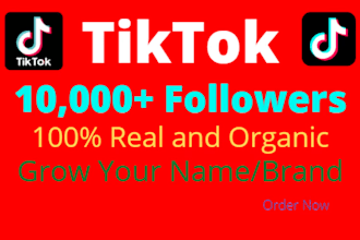 get you 20,000 real tik tok followers fast