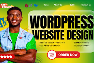 design responsive wordpress website on bluehost, godaddy, hostinger, siteground