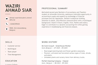 write a CV for students or starters in english or dutch