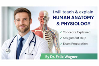 teach, explain, and solve problems in human physiology and anatomy