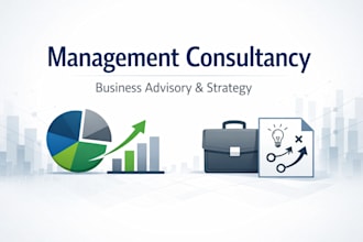provide management consultancy including project report