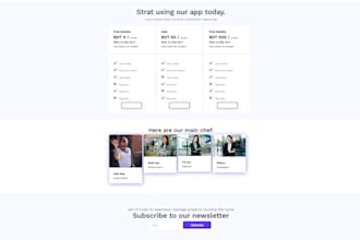 fix bug in HTML, CSS, javascript and python website