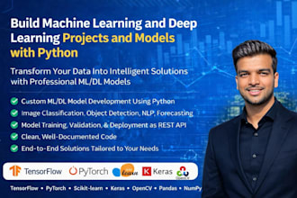 build custom ml model, dl model, nlp project as ml developer