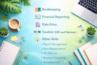 provide professional financial accounting services
