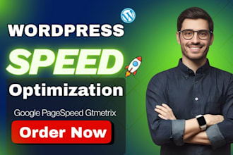 optimize wordpress speed or improve your google pagespeed insights