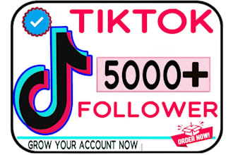 get you 20,000 real tik tok followers fast