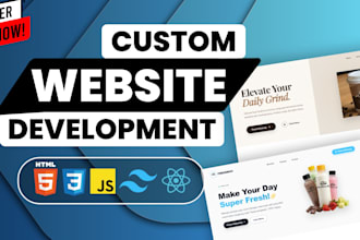 do custom website development, front end developer