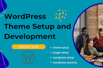 professional theme setup and development