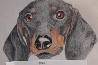 draw realistic artistic portraits of pets