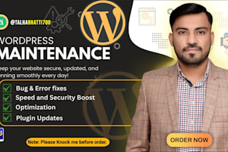 do wordpress help, wordpress support , website maintenance